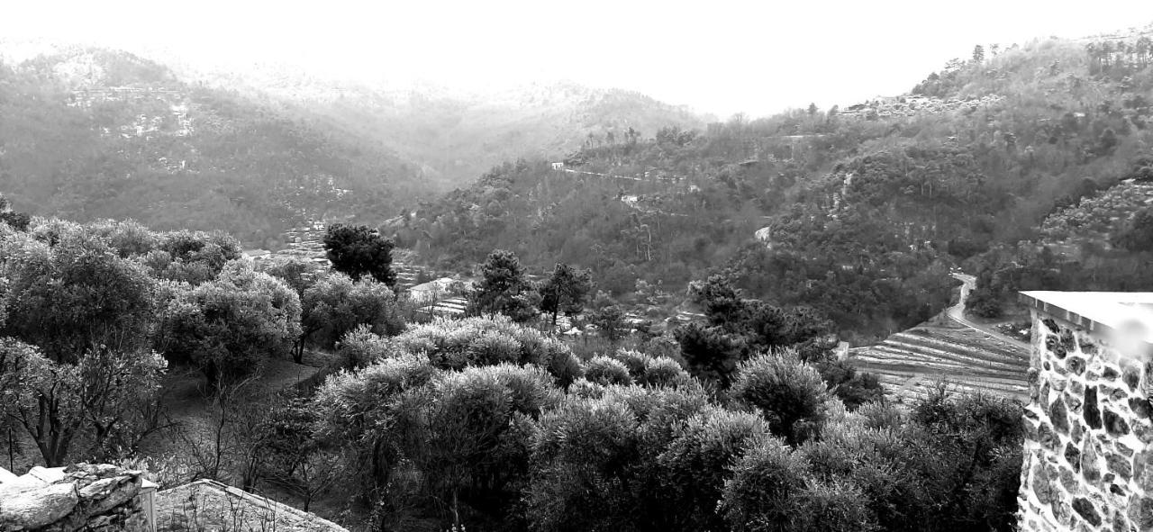 B&B L' Antica Macina Quiliano Exteriör bild