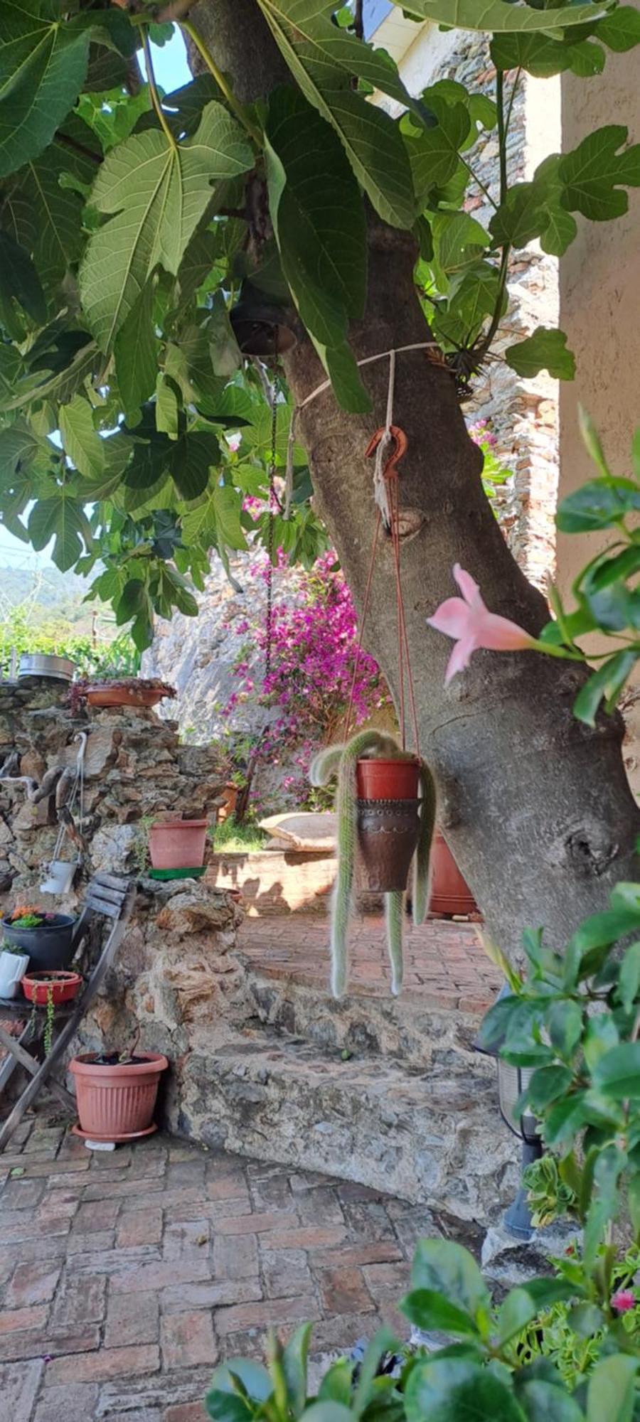 B&B L' Antica Macina Quiliano Exteriör bild