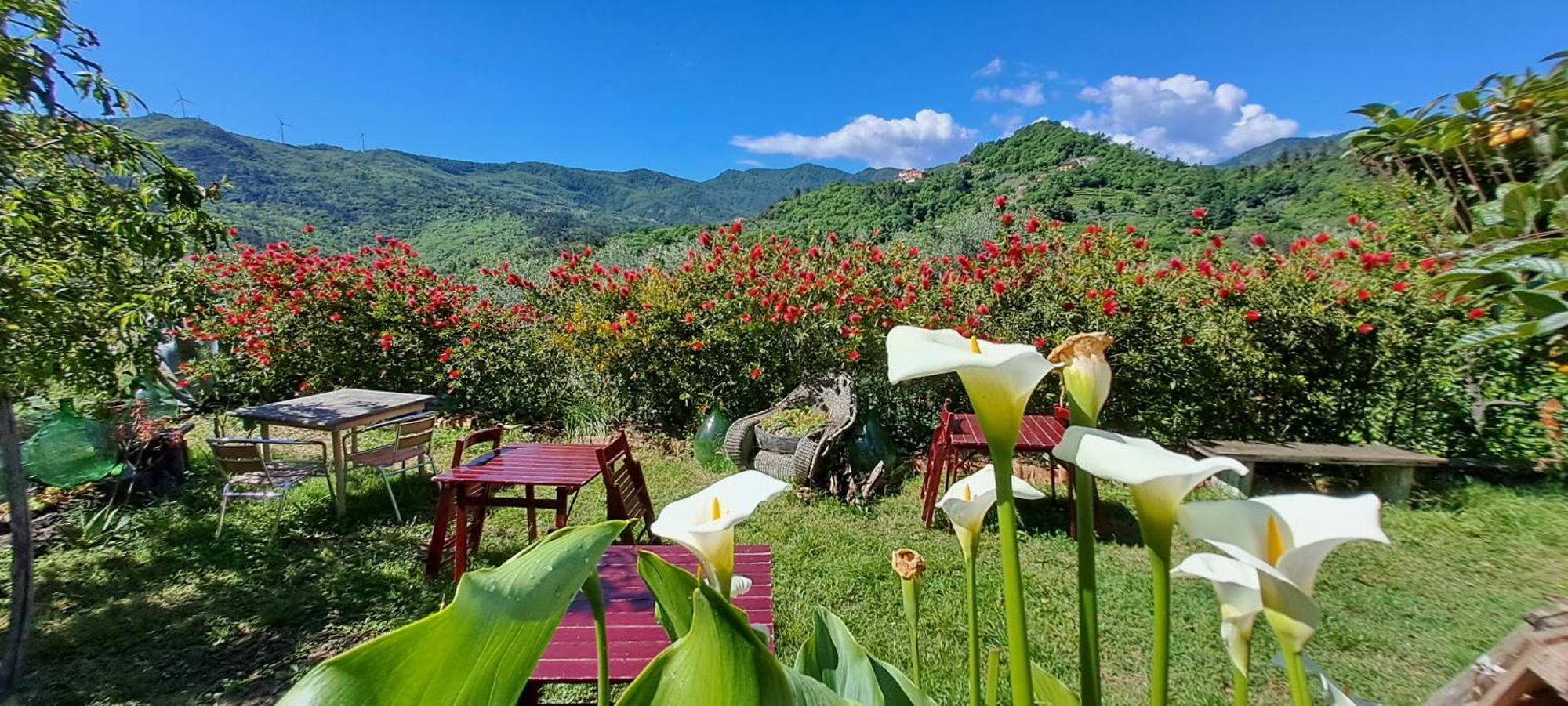 B&B L' Antica Macina Quiliano Exteriör bild