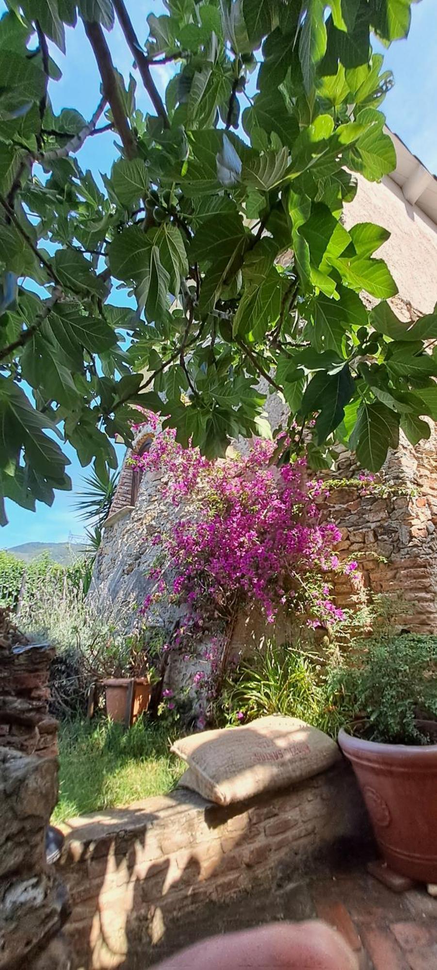 B&B L' Antica Macina Quiliano Exteriör bild