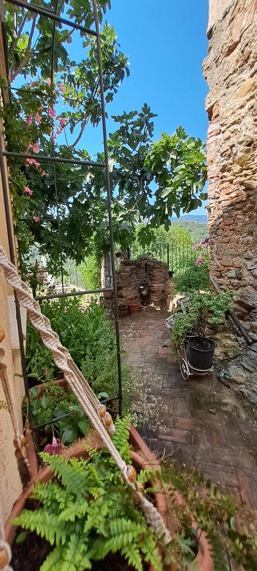B&B L' Antica Macina Quiliano Exteriör bild