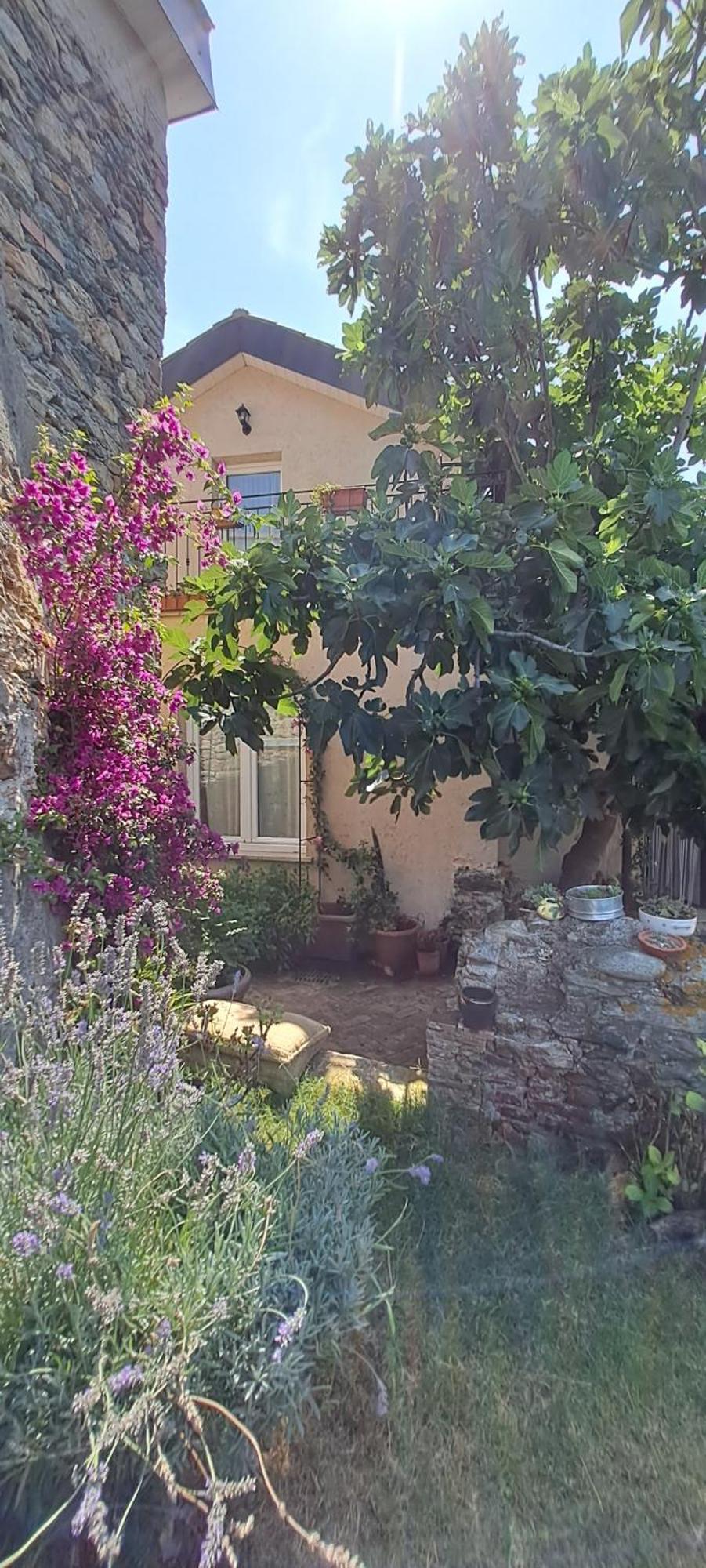 B&B L' Antica Macina Quiliano Exteriör bild
